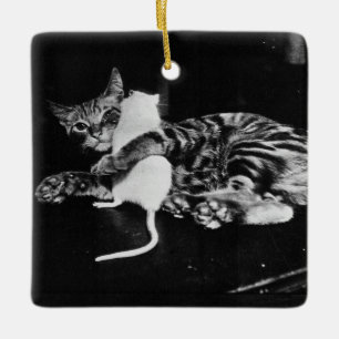 Surprising Friendship - Cat Minnie and Mike Mouse Ceramic Ornament
