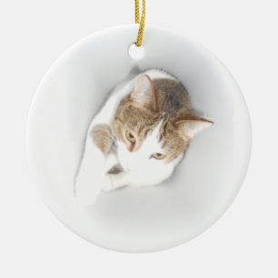 Surreal Cat in the Light Ceramic Tree Decoration