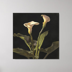 Surreal Easter Lilies On A Black Background Canvas Print
