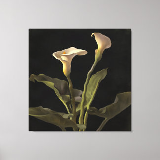 Surreal Easter Lilies On A Black Background Canvas Print