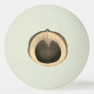 Surreal Peacock Eye Ping Pong Ball
