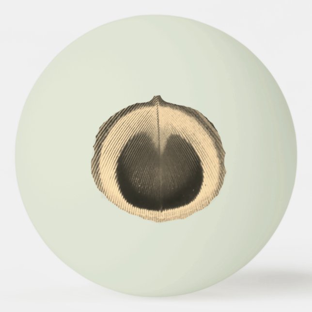 Surreal Peacock Eye Ping Pong Ball (Front)