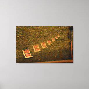 Surreal Windows Canvas Print
