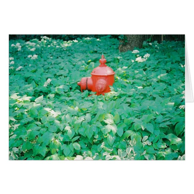 Surrounded (Front Horizontal)