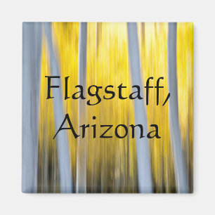 Surrounded by Aspen trees Flagstaff, Arizona Magnet