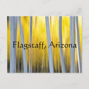 Surrounded by Aspen trees.Flagstaff, Arizona Postcard