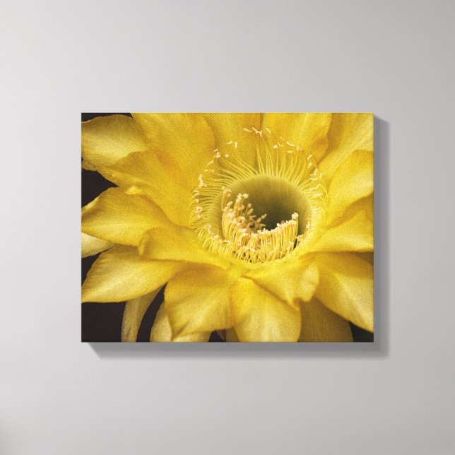 Surrounded by Lemon Pie Canvas Print (Front)