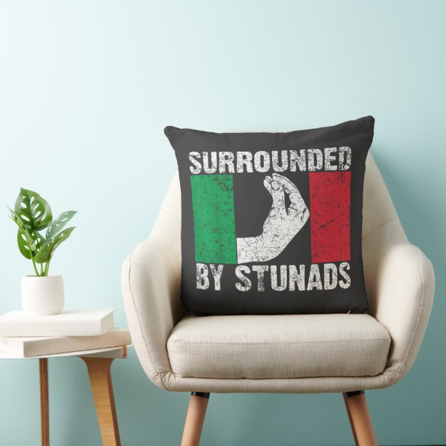 Surrounded by Stunads Cushion (Chair)