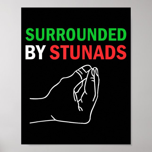 Surrounded By Stunads Funny Italian Sayings  Poster (Front)