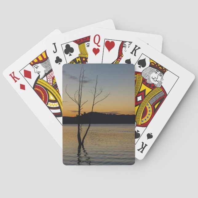 Surrounded Playing Cards (Back)