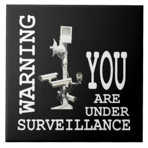 Surveillance video cameras tile