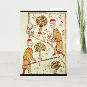 Surveying and demarcation of land card