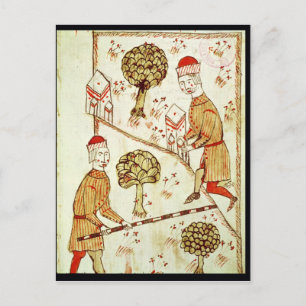 Surveying and demarcation of land postcard