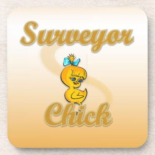 Surveyor Chick Coaster