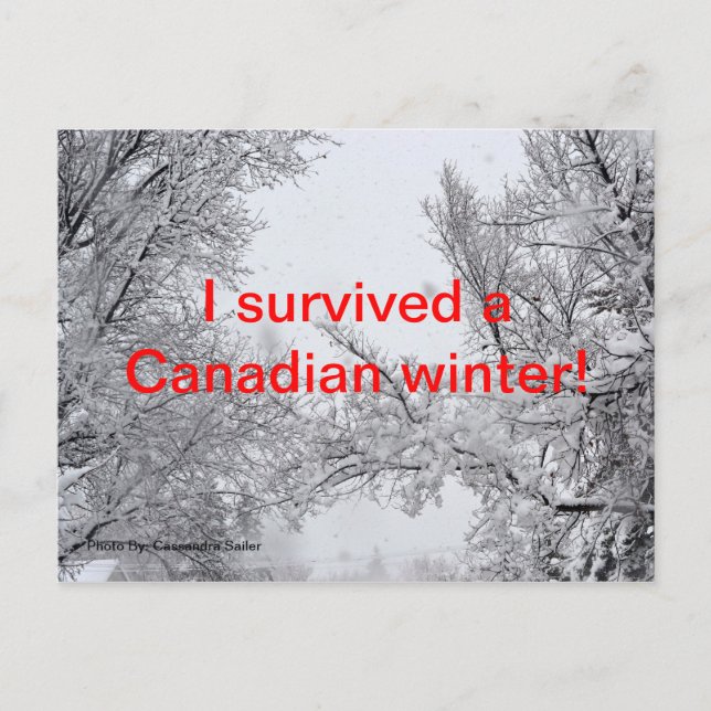 Survived a Canadian Winter Post Card (Front)