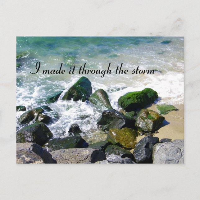 Survived_ Postcard (Front)