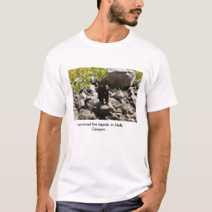 Survived the rapids in Hells Canyon T-Shirt