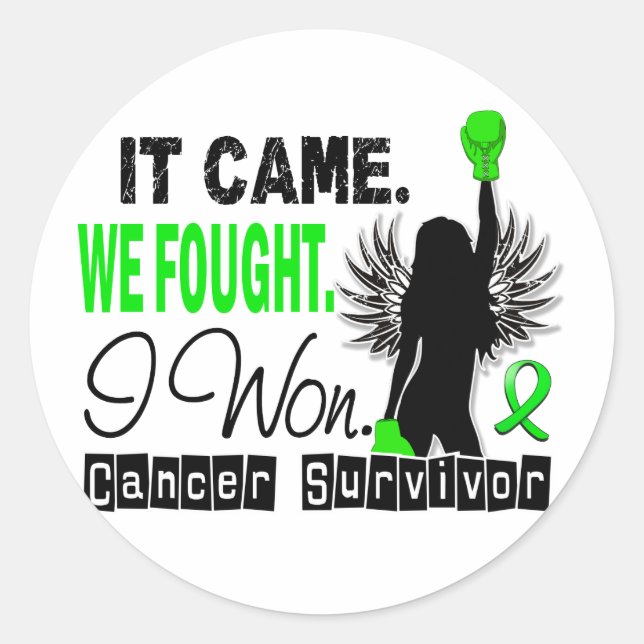 Survivor 22 Non-Hodgkin's Lymphoma Classic Round Sticker (Front)