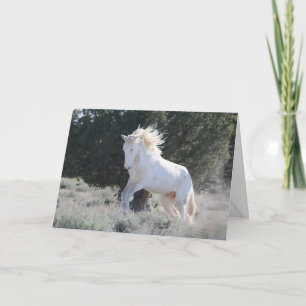 Survivor Greeting Card