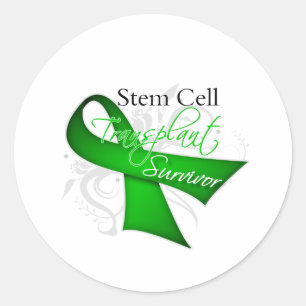 Survivor - Stem Cell Transplant Classic Round Sticker