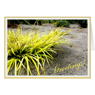 Survivor Yellow Desert Plant customisable Frame