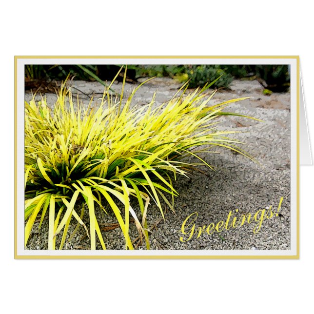 Survivor Yellow Desert Plant customisable Frame (Front Horizontal)