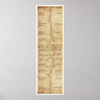 Suryanamaskara - The Sun Salutation - Portrait Poster