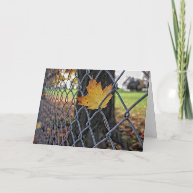 Suspended in Time Original Blank Card (Front)