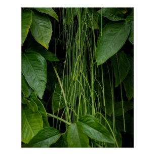 Suspended Nature Poster