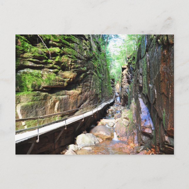Suspended Path Stream Franconia Notch NH Postcard (Front)