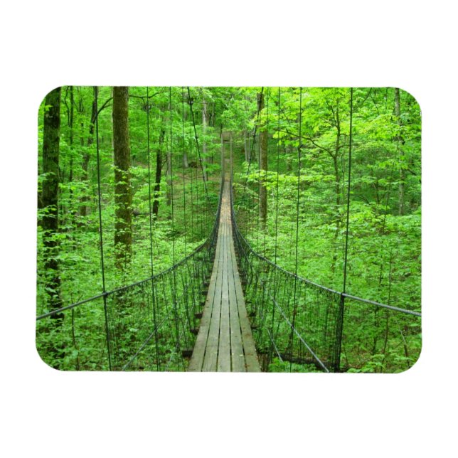Suspension Bridge Magnet (Horizontal)
