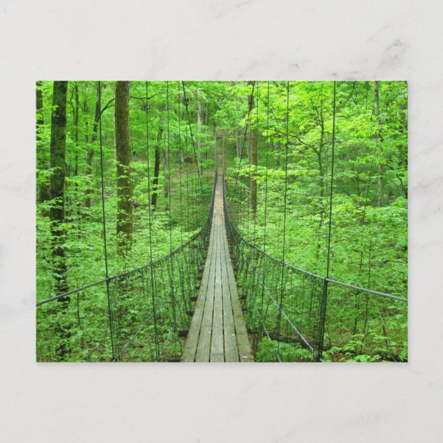 Suspension Bridge Postcard (Front)