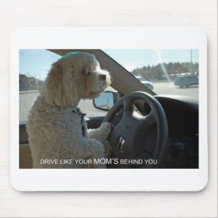 Suspicious Cockapoo Glances in Mirror Mouse Mat