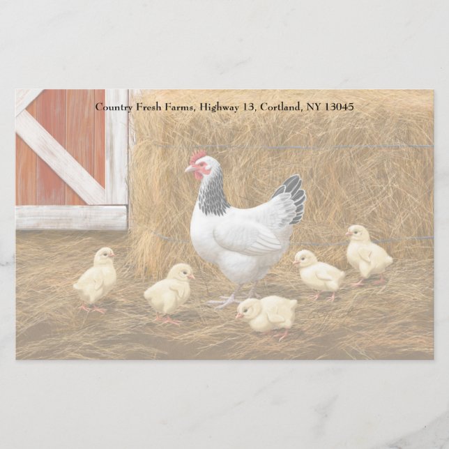 Sussex Chicken Mama Hen and Chicks Stationery (Front)