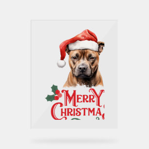 Sussex Spaniel Christmas Acrylic Sign