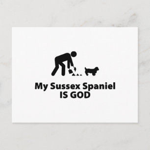 Sussex Spaniel Postcard
