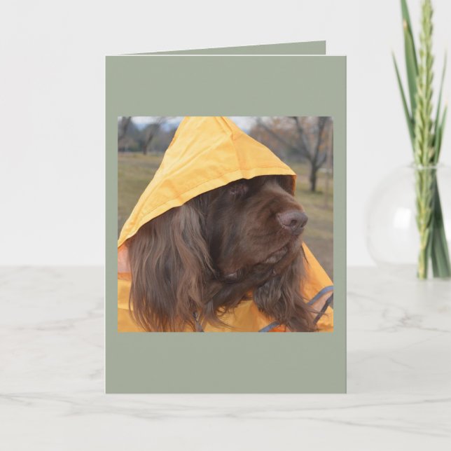 Sussex Spaniel waiting for the rain Card (Front)