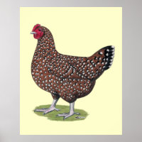 Sussex: Speckled Hen