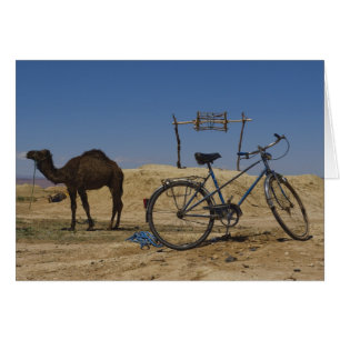 Sustainable transportation