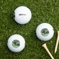 Sutter Buttes Mountain Range the Bull photo Golf. 