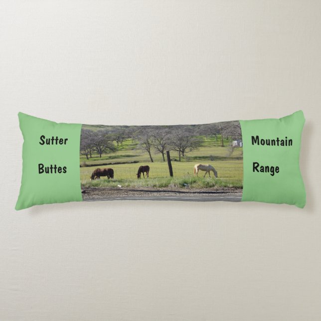 Sutter Buttes Mountain Range with body pillow.  Cushion (Front)