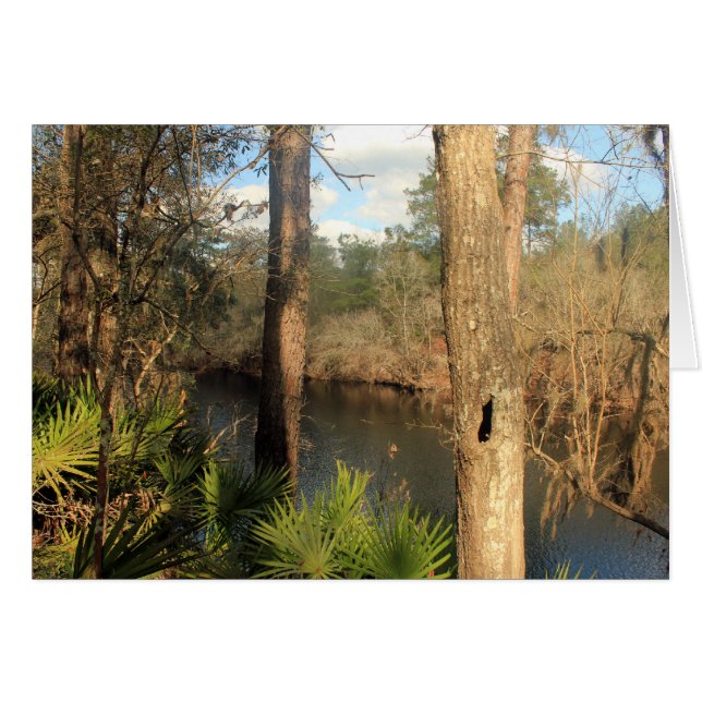Suwanee River, Big Shoals State Park, Florida (Front Horizontal)