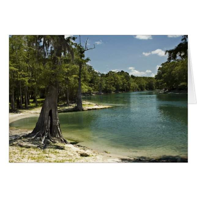 Suwannee River Beach Blank Card (Front Horizontal)