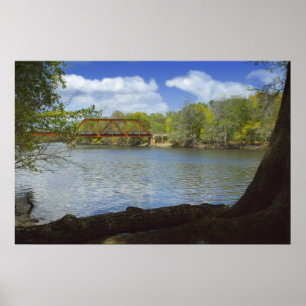 Suwannee River Railroad Trestle Print