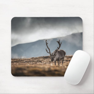 Svalbard Reindeer Nature Photo Mouse Mat