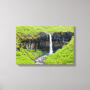 Svartifoss Waterfall in Skaftafell - Iceland Canvas Print