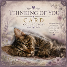 Thinking of You Card Collection