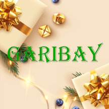 Garibay Name T-Shirt