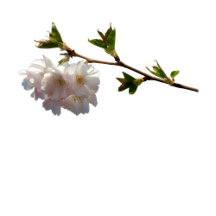 Adorable Baby Shower Collection | Cute & Modern 