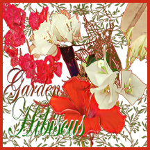 Garden Hibiscus Blooms Gift Collection | Artwork